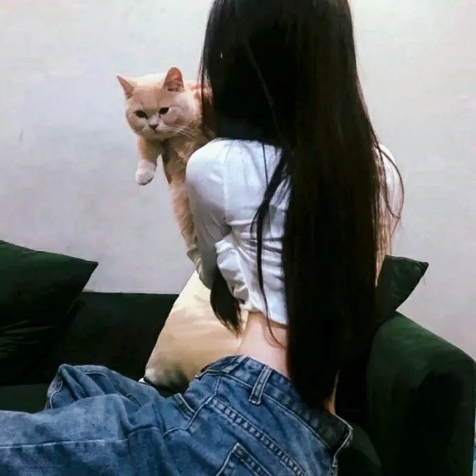 另一个大家伙